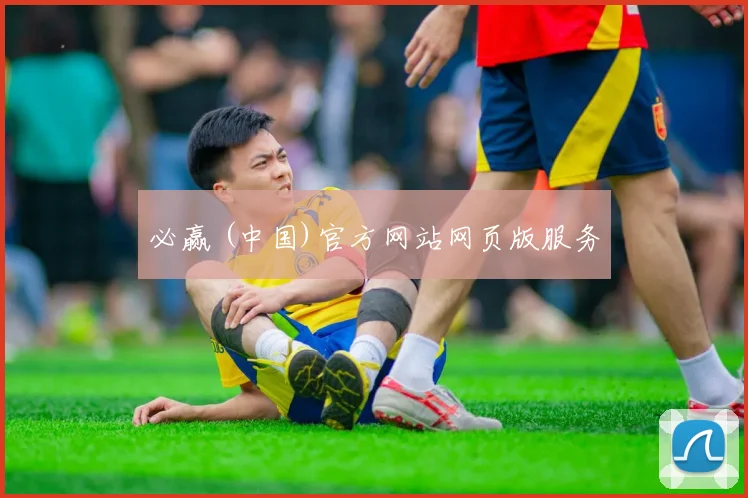 必赢 (中国)官方网站网页版服务