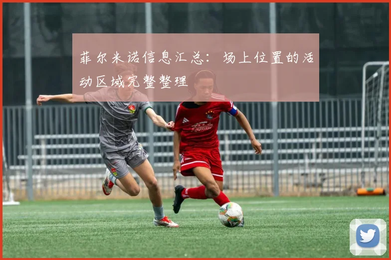 菲尔米诺信息汇总:场上位置的活动区域完整整理